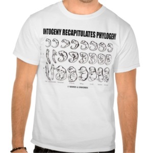 ontogeny_recapitulates_phylogeny_biology_tshirt-rf4f42413d17244c89a17826f8f340875_804gs_512